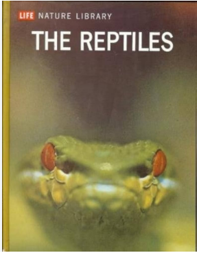 Pustaka Alam Life: Reptilia